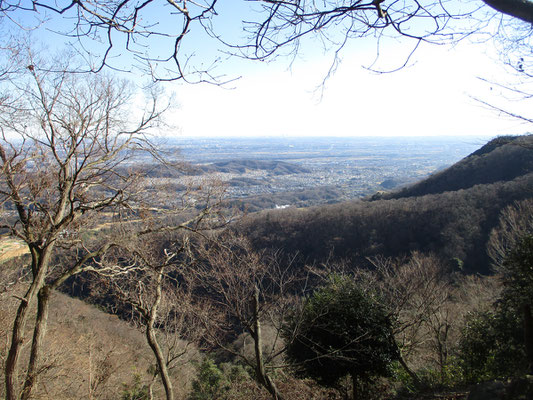 ここまで登ると新宿の高層ビル群もハッキリと見ることができます