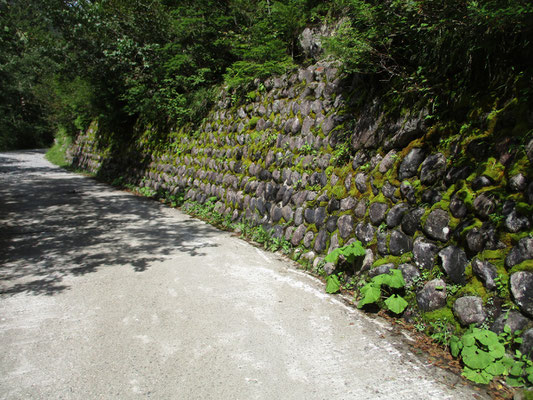 当日の目的地「わさび平」までは林道歩き　わさび平の名が示すように、昔はわさび採取などで人の往来があった名残なのだろうか　きれいな石垣が残っている