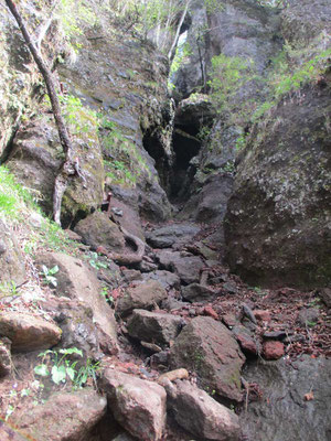 登っているときに見上げた岩峰の基部