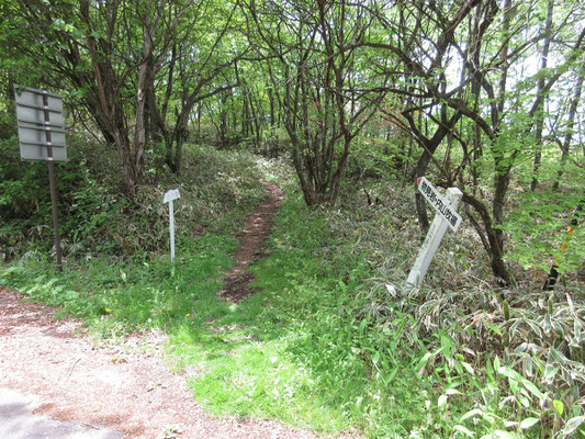 物見岩の稜線から一旦車道に出る