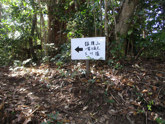 途中に前回はなかった手作りの看板が…　ちょっと行ってみようと向かいましたが、これは隣の山への縦走路だと気づき諦めて戻りました