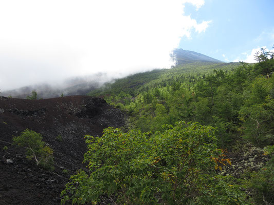 この日見えた富士山の稜線？　これが限界