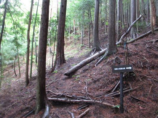 登山口の看板　最初はスギの植林帯