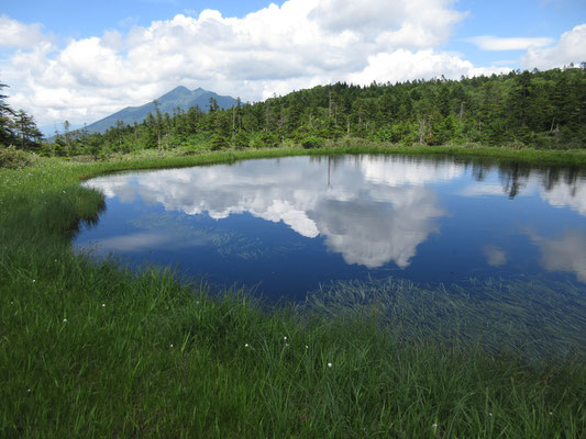 左手が急に明るくなって、突然こんな池塘が現れる！　驚き！