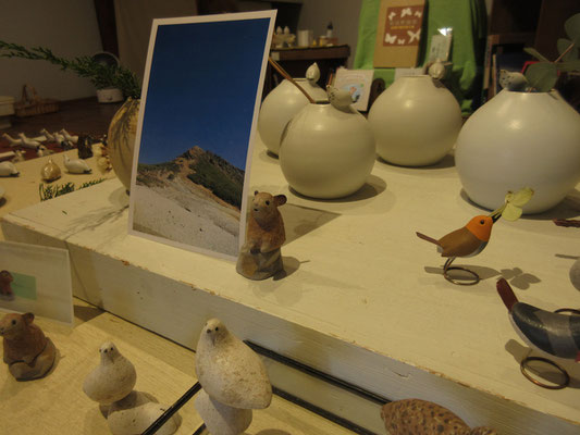 展示の様子7