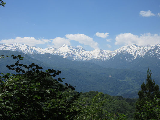 まだこの段階では何が何の山なのか