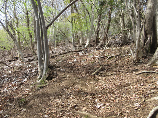 石砂山の最後の急登　ずり落ちそうなくらい