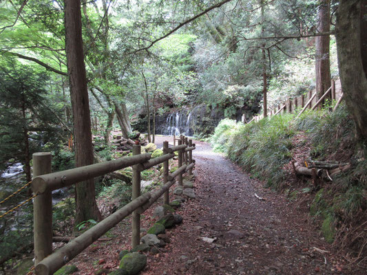 しばしの間山道となり、向こうに千条の滝が見えてきた