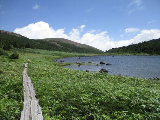 一切経山を草原・湿原の向こうに見る　