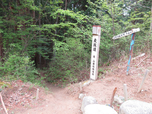 まもなく、ロープウェイを使わないならここを辿るという登山道に出くわす