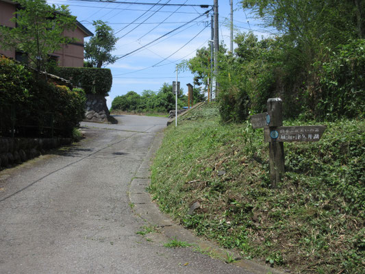 一旦舗装道に出るが、再び山道へ