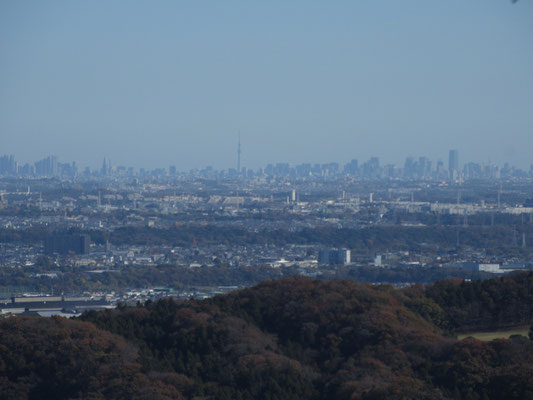 この日はスカイツリーもくっきり