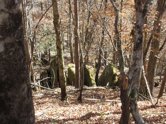 樹林の間のこの岩などはまな板の上のたくあんのように並んでいる　不思議