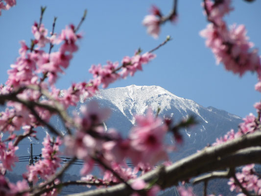 雲で見えなかった白い南アルプスがこの日はくっきりと見えた（これは鳳凰三山の観音岳か？）