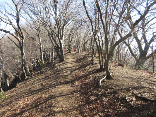 高取山への登り