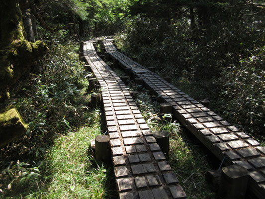 工夫された登山道9（木道も細かな市松模様となっている）　その３（早池峰山 入山式と薬師岳）に続く