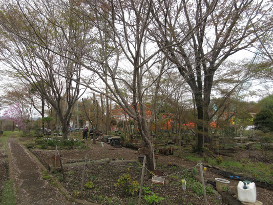 下山後は沓掛館山に移動