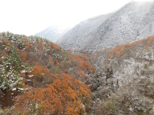 高瀬渓谷の方まで足を伸ばす こちらは又一気に寒々しい景色