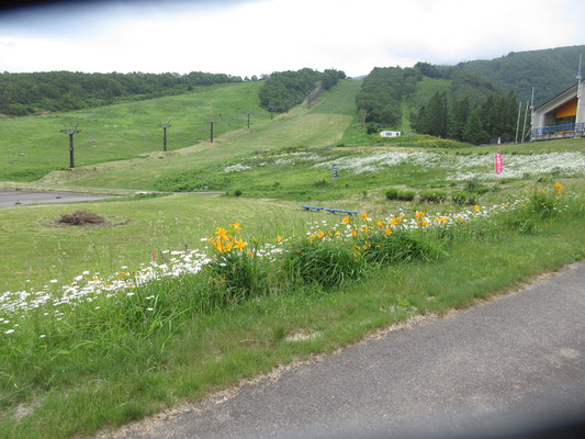 天元台高原はこんな感じの場所　ここにあるペンション村に宿泊することで、ナイトツアー（星の観察）や冬は山の上でのスノーモンスター見物ツアーなどに参加できるプランがあるそうだ