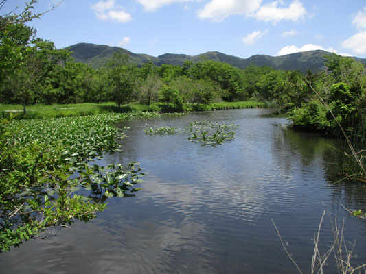 池の向こう側に回り込むと、背中にしていた北側の箱根外輪山が遠望できるようになる