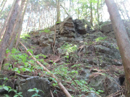 大きな鋭い岩が岩峰のように壁になっていました　植林の山になっていますが、植林前の姿はどんなだったのか…