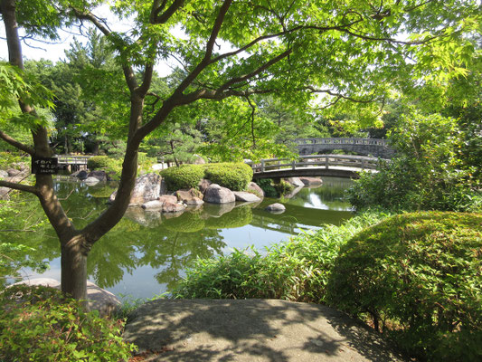 びっくり、中に入ると日本庭園があった