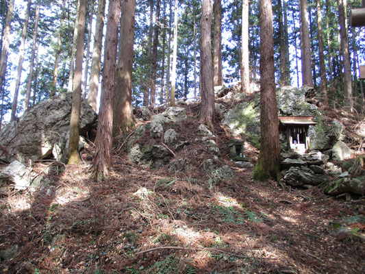 下山時に出会った山の神　大理石を含む大きな岩間に祀られている　こんな場所にも律儀に植林、さぞかし大変だっただろう