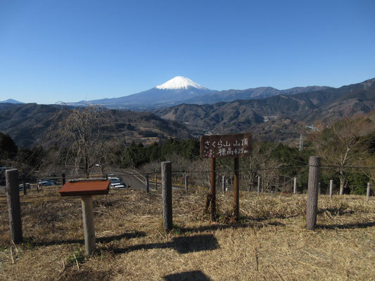 公園内には上り下りの遊歩道があり、上の方は子供に人気のアスレチック広場になっている　広い駐車場には大野山登山客と子供連れの車でかなり一杯だった