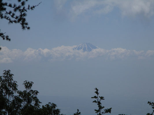 登りでは展望台にて富士山が頭を出していた