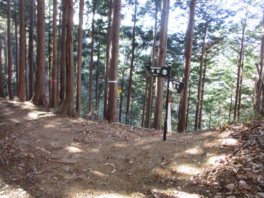 青根に抜ける道がだんだんと植林帯になっていくと、途中から舟山の山頂に向け適当に登っていく