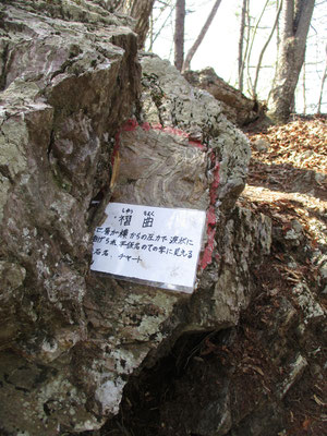 この地域は地層が複雑怪奇　赤っぽいチャートがやたら入り組んでいるのが目に付きました