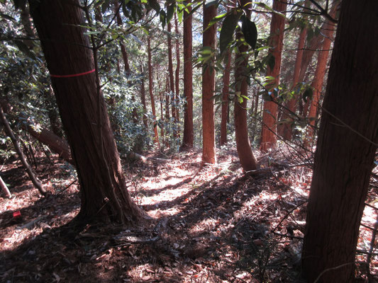 危ない箇所を登り切って下を見下ろす
