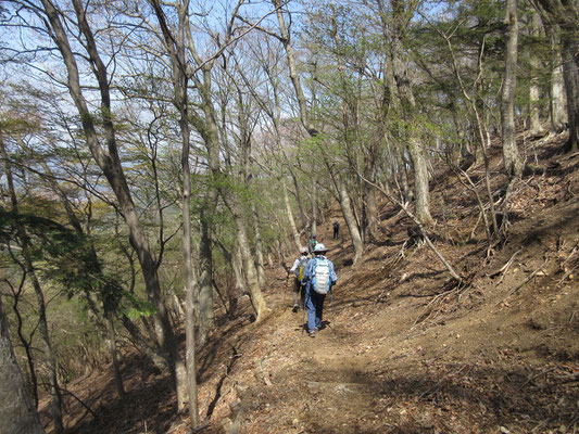 先程の道標分岐まで戻り、下山開始