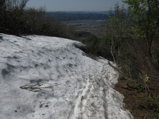 低山でもちゃんと雪が残っているのだから、如何に豪雪なのかがわかる