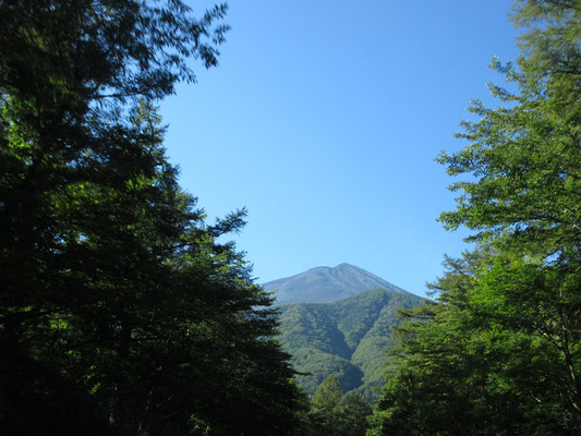 朝はまだ富士山がくっきり見えていた　スバルラインから垣間見えた富士山頂