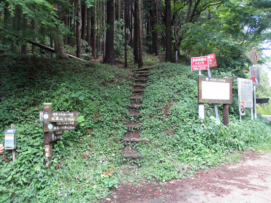 稜線から一気に下って半原越に到着