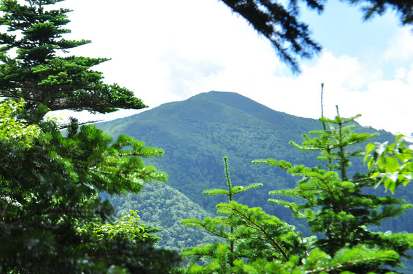 塩見小屋に向かう途中にある本谷山　こうした山を一つ二つと超えながらアップダウンを繰り返します