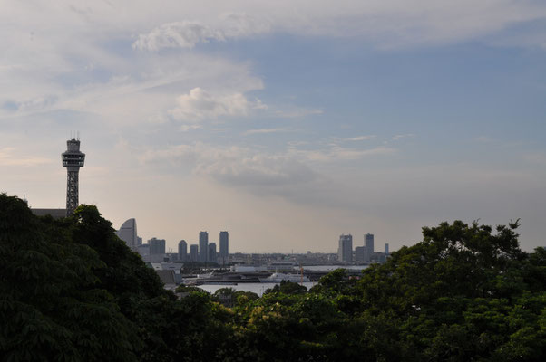 フランス山越しに見える横浜港　マリンタワーが見える山下公園方面です