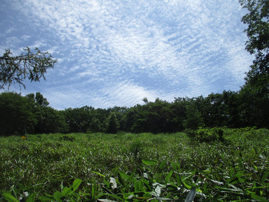 朝方曇っていた空も、一気に青空