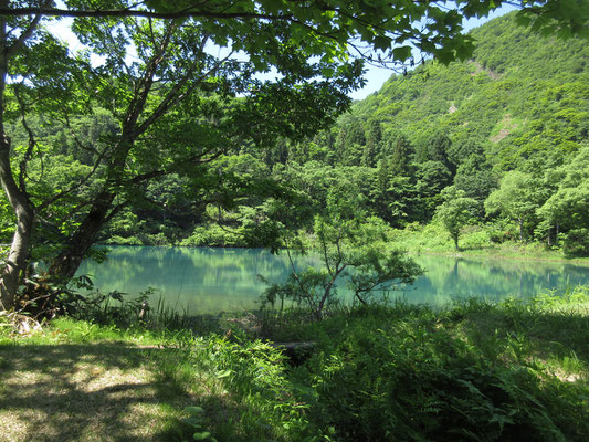 しろ池に到着　