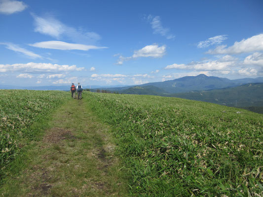 もう一息で下山口に到着　