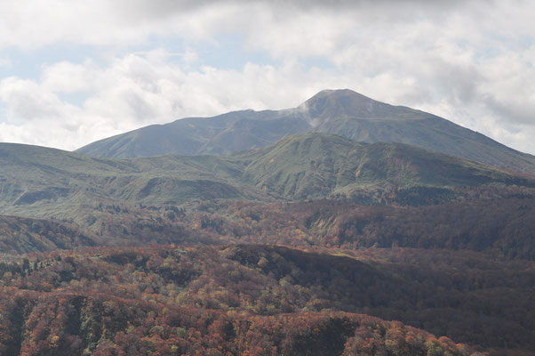 はじめは頭を雲に隠していた秋田駒ヶ岳も姿を見せてくれました