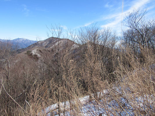 向こうを見れば、先程ピストンして登ってきた足和田山が見える