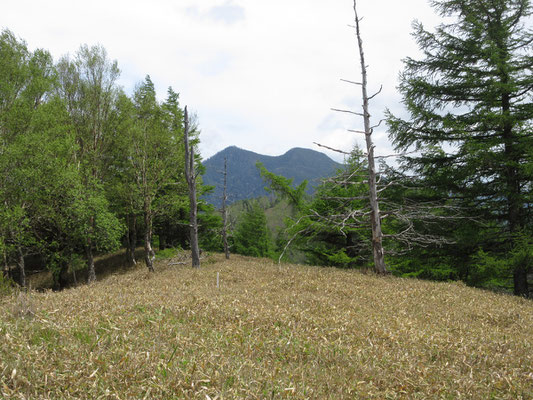 奥の方を見れば、双児山
