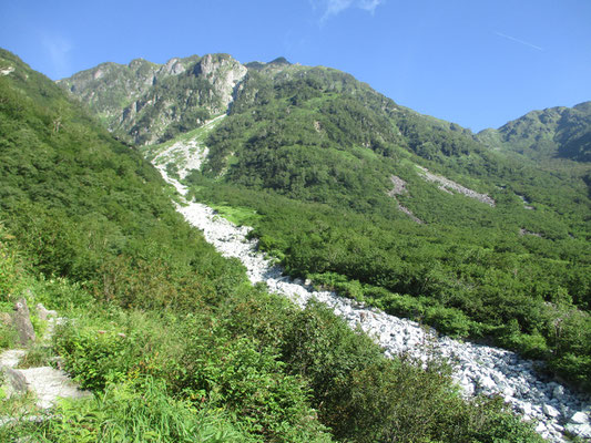 高山的な雰囲気になってくる