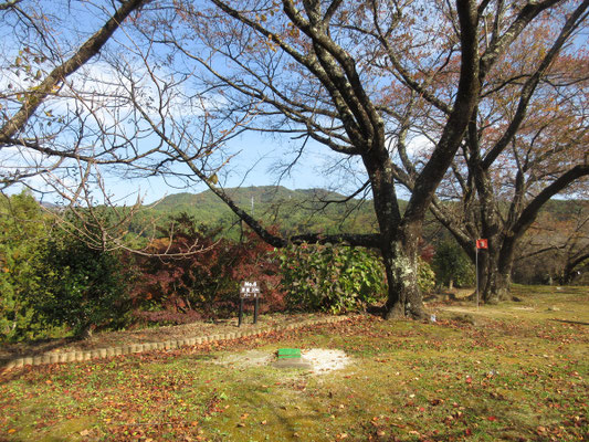 おそらく向こうに見える緑のたおやかな山容が前日歩いた大嶺山 大嶺とは大峠の意らしいと、あとで山旅師匠が気づく 見てなるほどの山容と生活路の要所でありました
