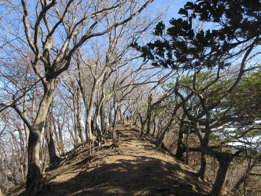 荻野高取山山頂　別隊の会員が山頂で待っていた