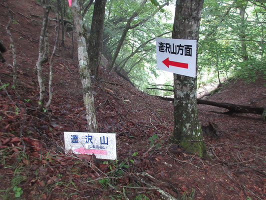 最終目的地の達沢山へ　この山は「山梨百名山」になっているらしい