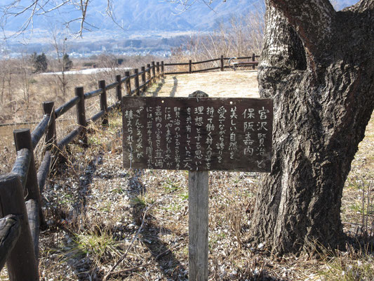 その一本の木の謂れが古めかしい看板に記されている