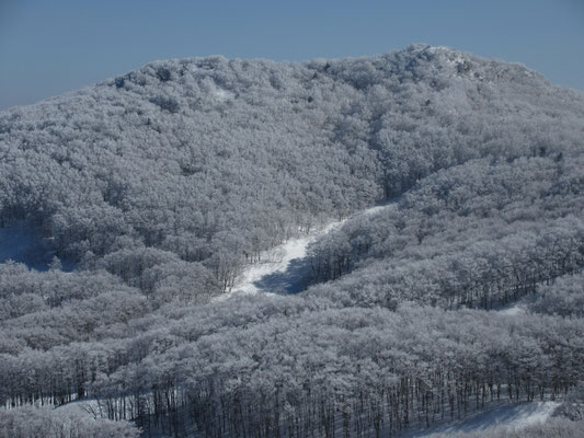 午前中には付近の山を覆う森が真っ白な霧氷に包まれている